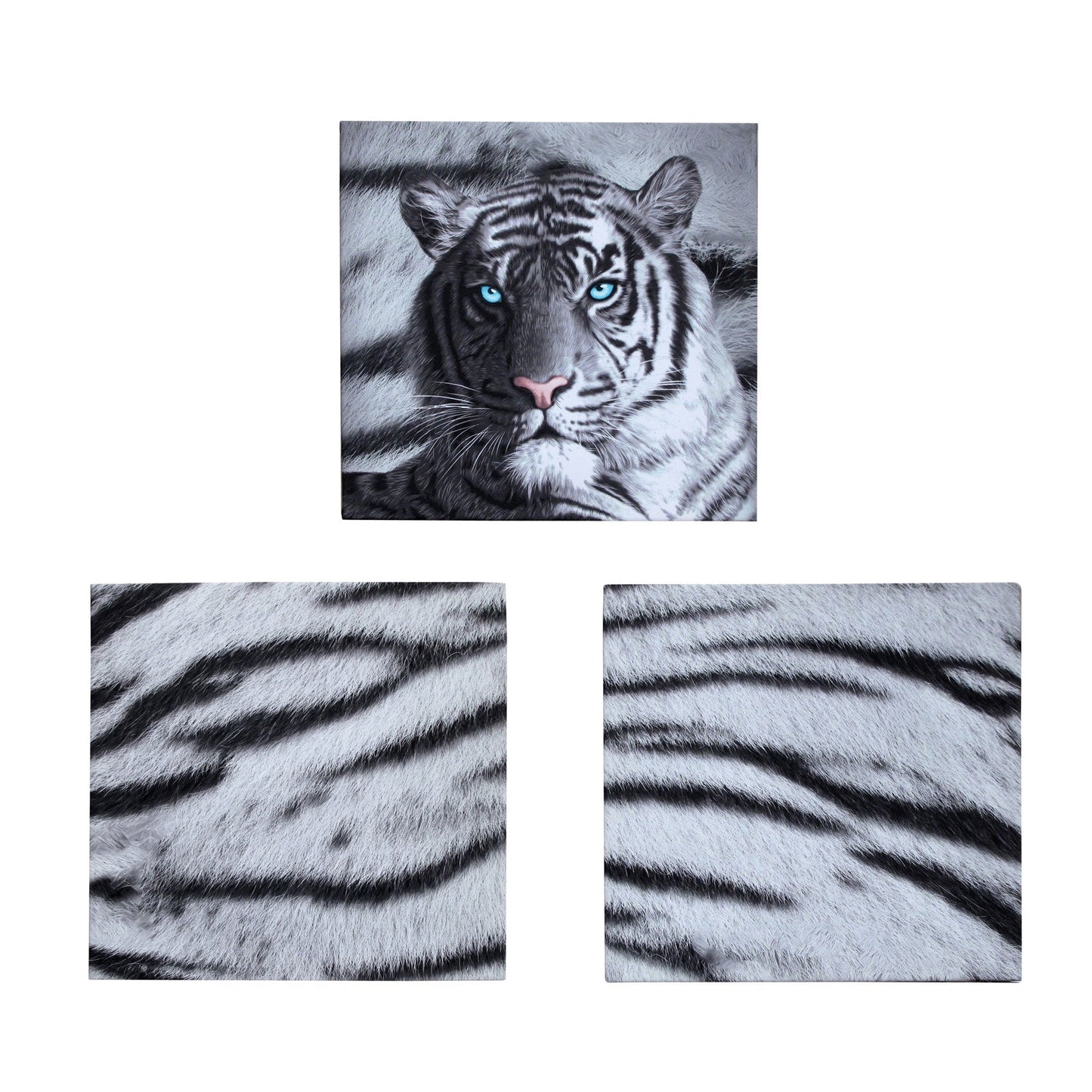 NNEDSZ Just Home Set of 3 Printed Blue Eyes Stripes Tiger Wall Canvas