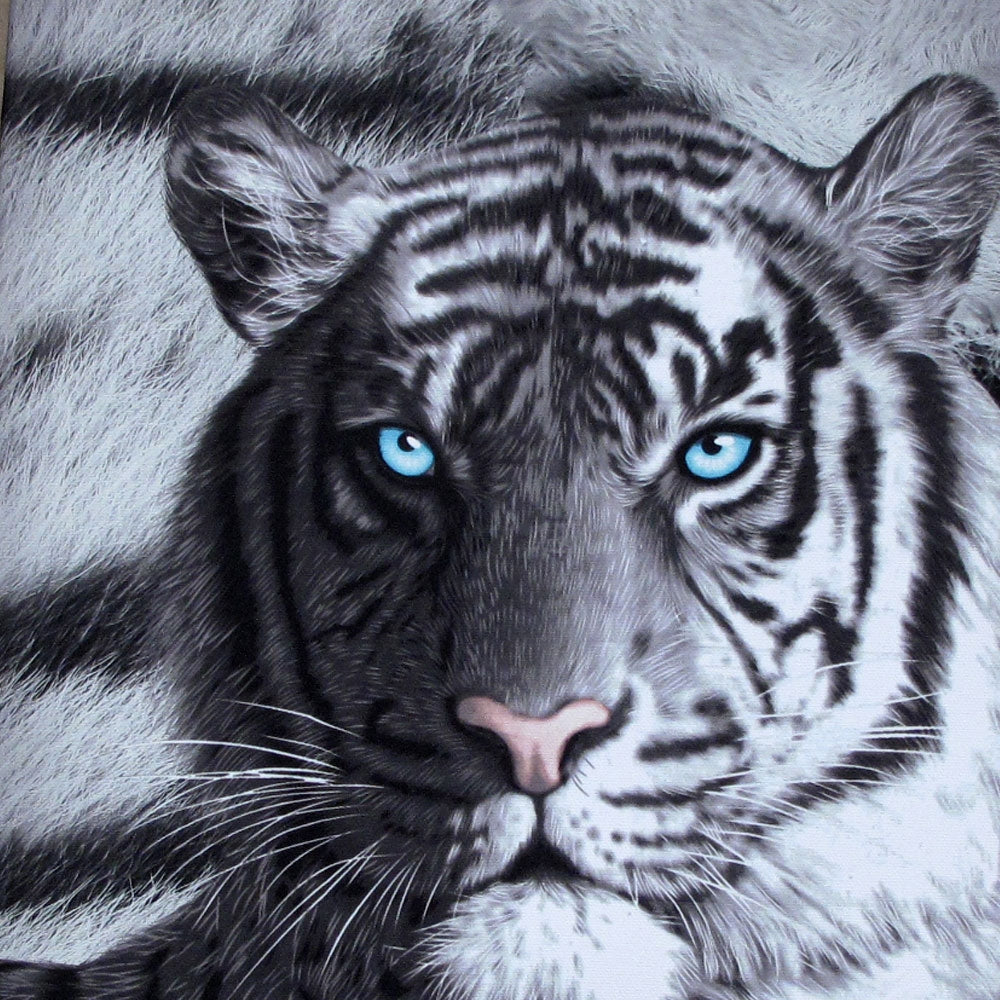 NNEDSZ Just Home Set of 3 Printed Blue Eyes Stripes Tiger Wall Canvas