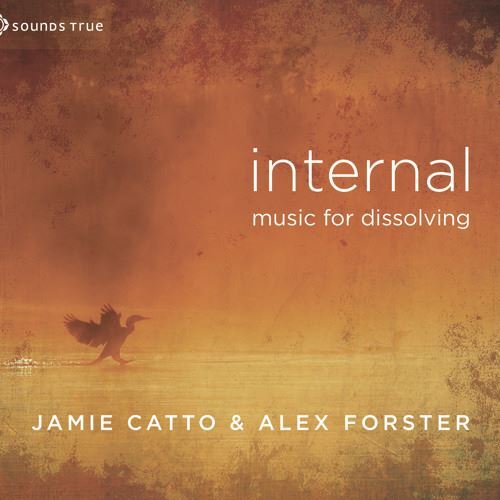 CD: Internal - Music for Dissolving-0