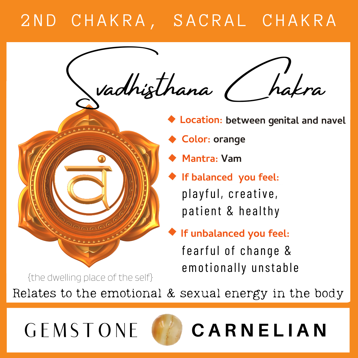 Chakra & Cherry Amber Adult Bracelet-3