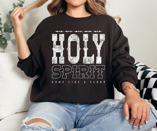 Christian Sweatshirt- Holy Spirit Come-Western