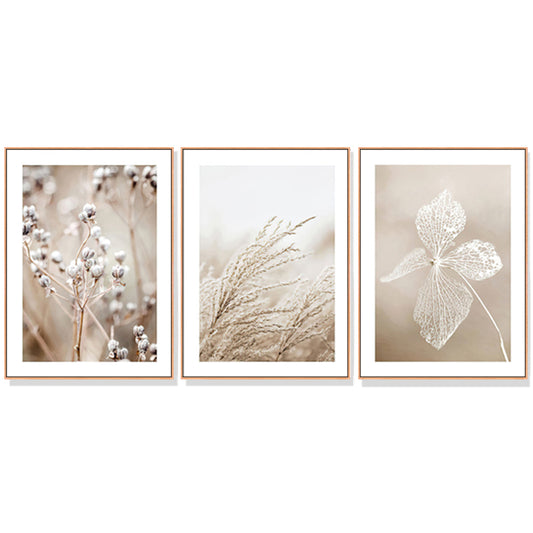 NNEDSZ Wall Art 50cmx70cm Dried Flower 3 Sets Wood Frame Canvas