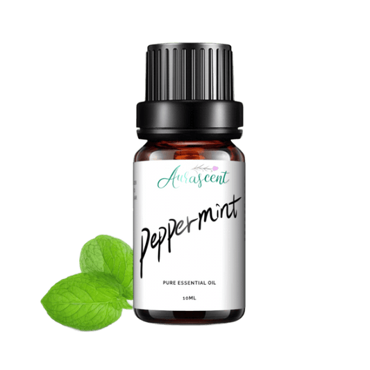 Peppermint Essential Oil - 10ml-0